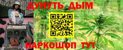 шишки Заводоуковск