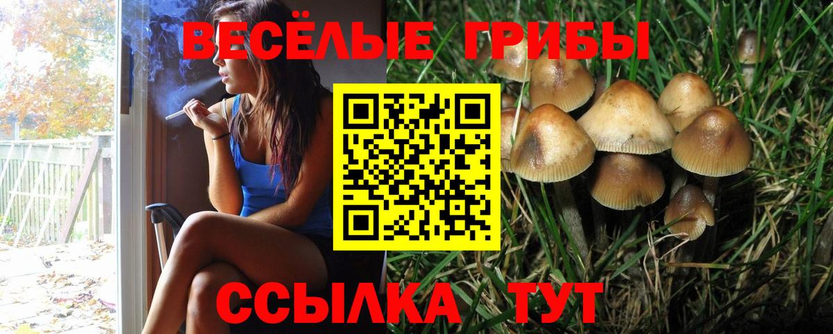 Майский  Галлюциногенные грибы Psilocybe  Вход с VPN 